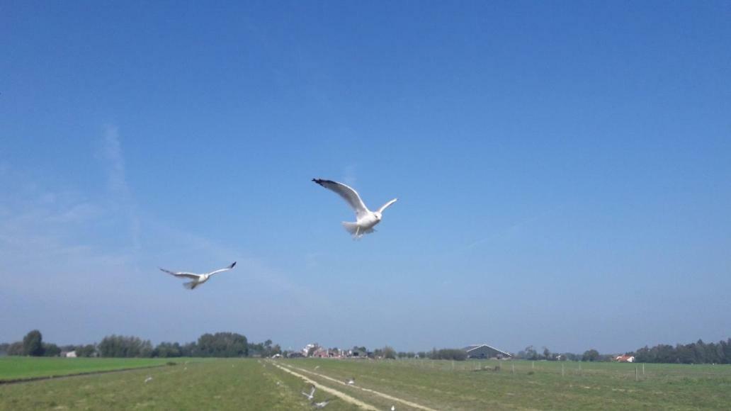 Bedstay41 Oudewater Zewnętrze zdjęcie