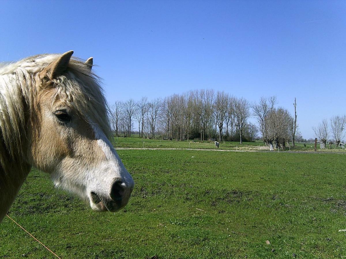 Bedstay41 Oudewater Zewnętrze zdjęcie